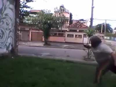 Sifu posted this (capoeira) in response to 