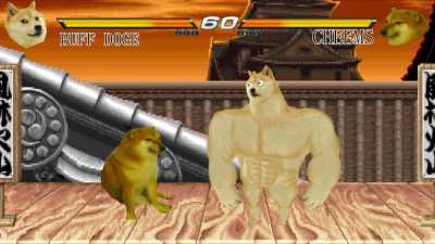 le wacky fight has arrived