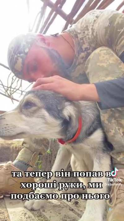 An Ukrainian soldier and a stray dog. Friends forever.
