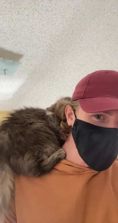 Within 2 seconds of meeting the cat I was adopting, she climbed onto my shoulders.