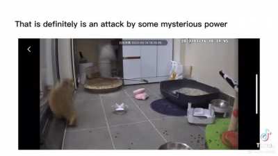 Just a slight overreaction