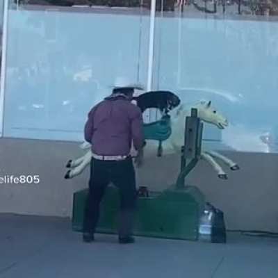This good boy haveig a great time made me smile