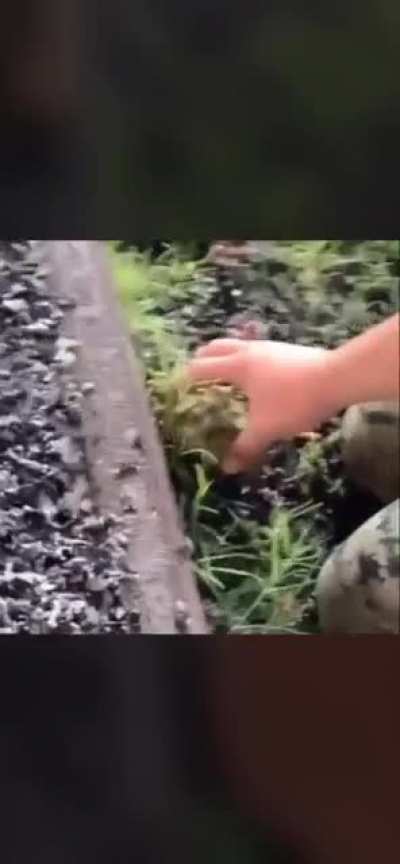 REEEEEEEEEEEEE