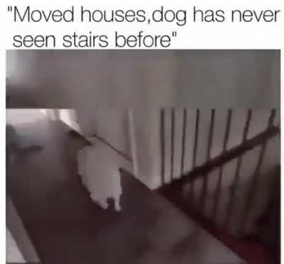 Wheeeeeeeeee