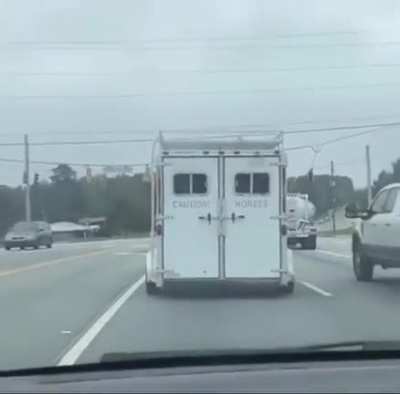 Caution! Horses