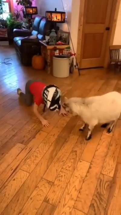 Kids will be kids