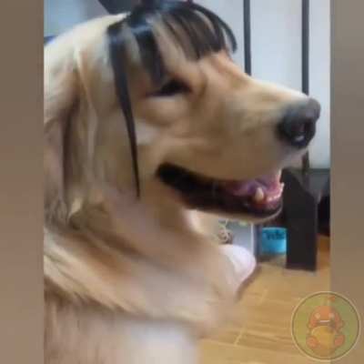 Девуш<wbr>ка, извин<wbr>ите..<wbr>.