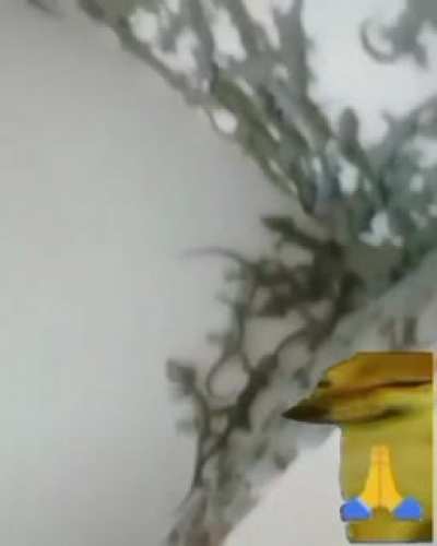 Wtf