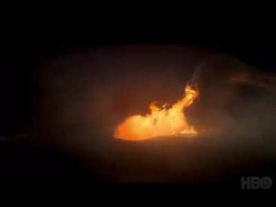 Vhagar Burning Laena Scene??