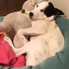 Rescued cutie