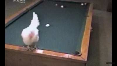 Egg..