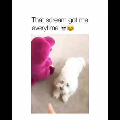 BAD DOGGO!!