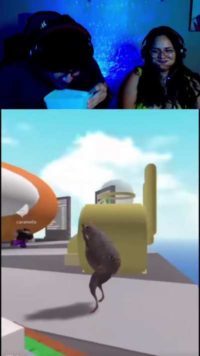 Aranha com aranha, perereca com perereca