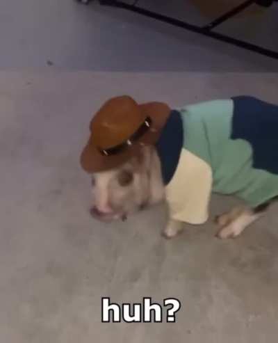dale is one of us