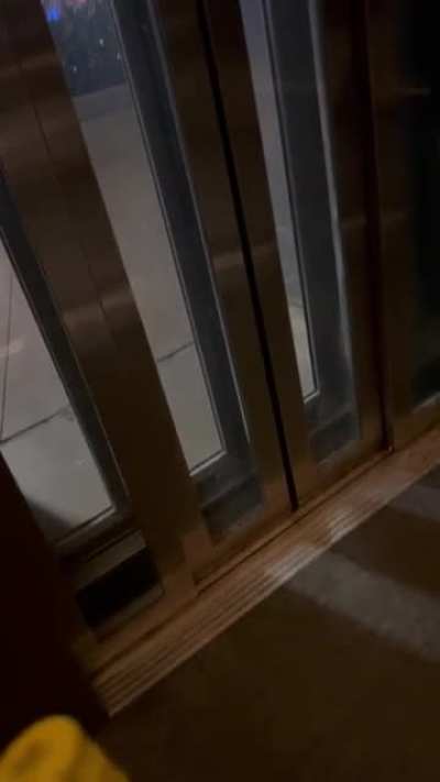 Shortest elevator ride ever. Up and down only 1m. All it does.