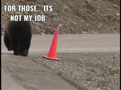 Learn from The Responsible Bear