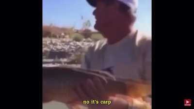 It used to be a carp.