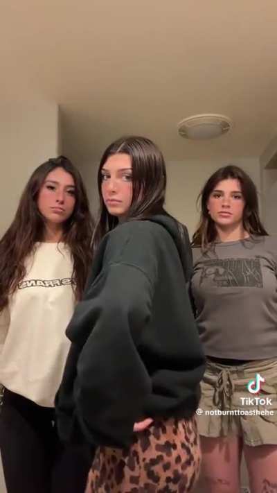 this new tiktok trend