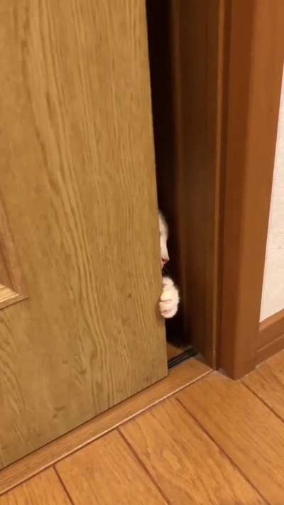 in the evening when I go to brush my teeth before going to bed, I see this