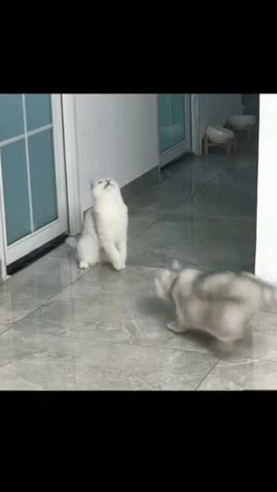 hmm