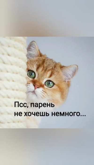 Антистресс