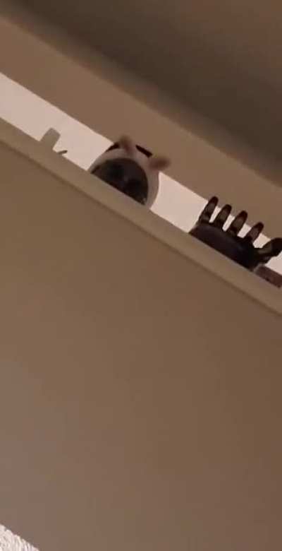 I (Upstairs) was bored cause my phone was dying..So I decided to mess with my wife who recorded me