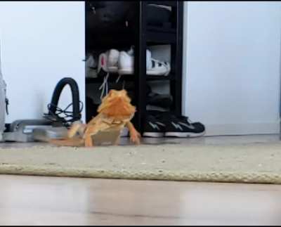 New speed record with a perfectly timed sliding