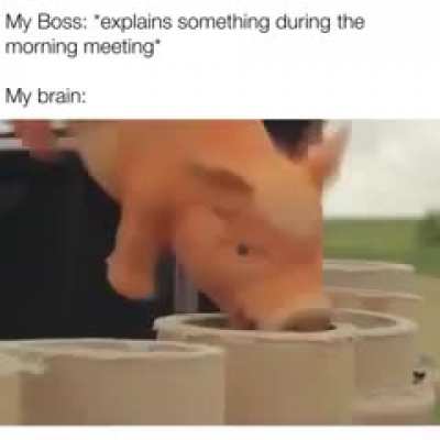 me_irl