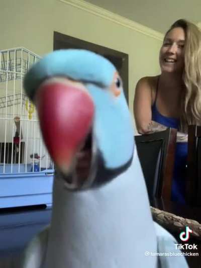 The love exuding from this bird ❤️