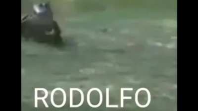 Rodolfo