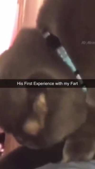 Dude just lost his soul