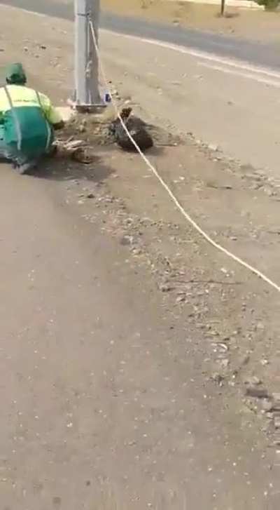 Streetlights that are designed to make work a lot easier.