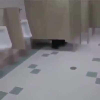 a.