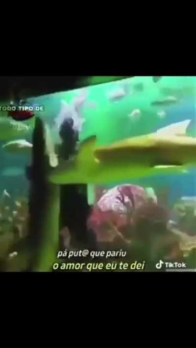 Isso nao se faz