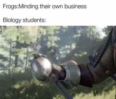 Those frogs are dead