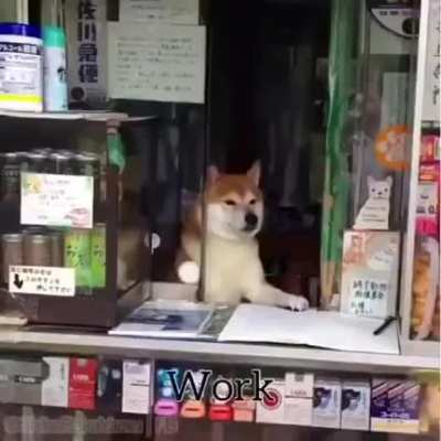 this video is so whiolesome