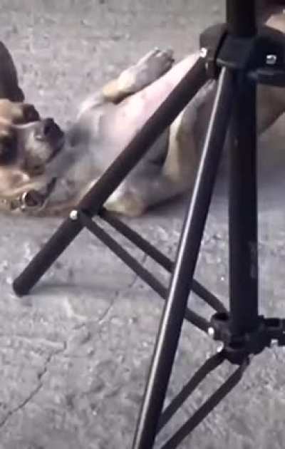 Maybe Maybe Maybe