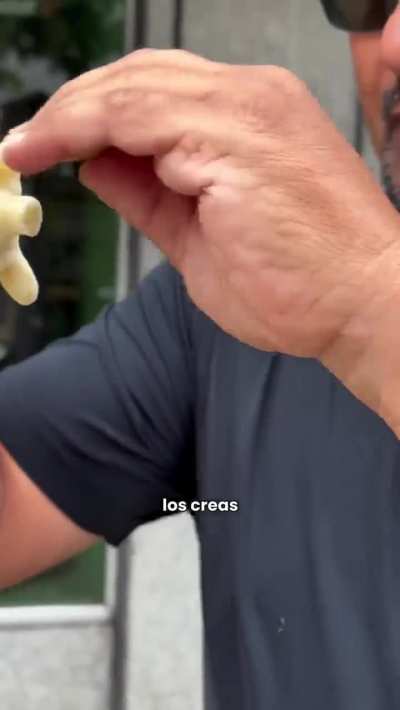 Probaste el 