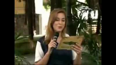Combo Paula Tejano