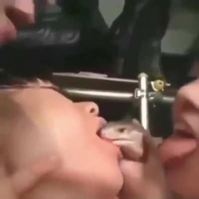 blursed kiss game