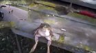 frobg سوف أقتل أطفالك اللعينين brazil man dead? أتمنى أن يكون كذلك