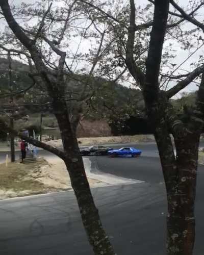 Cherry Blossom day at the track
