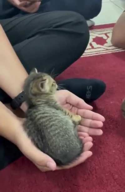 I think, it's ok here
