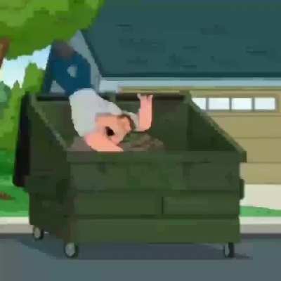:'v