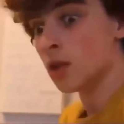 Xd