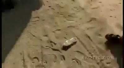 Houthi Rebels place unwelded AA-Gun on pickup. He survived with minor injuries.