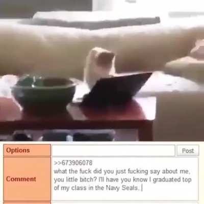 SquarePosting - Video #4232