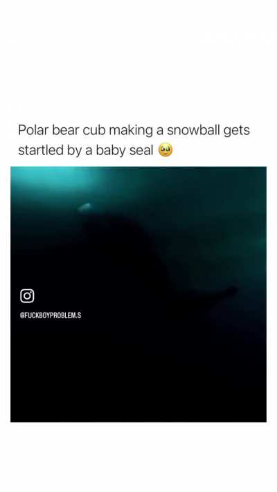 ‘You saw nothing kid’