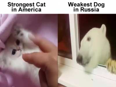 правило