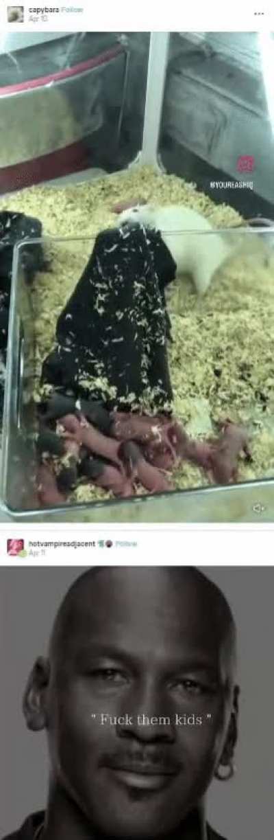 rat parenting style